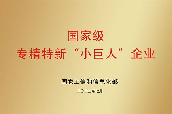 國(guó)家級(jí) 專(zhuān)精特新“小巨人”企業(yè)