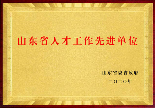 山東省人才工作先進(jìn)單位