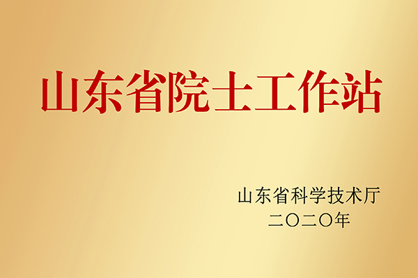 山東省院士工作站
